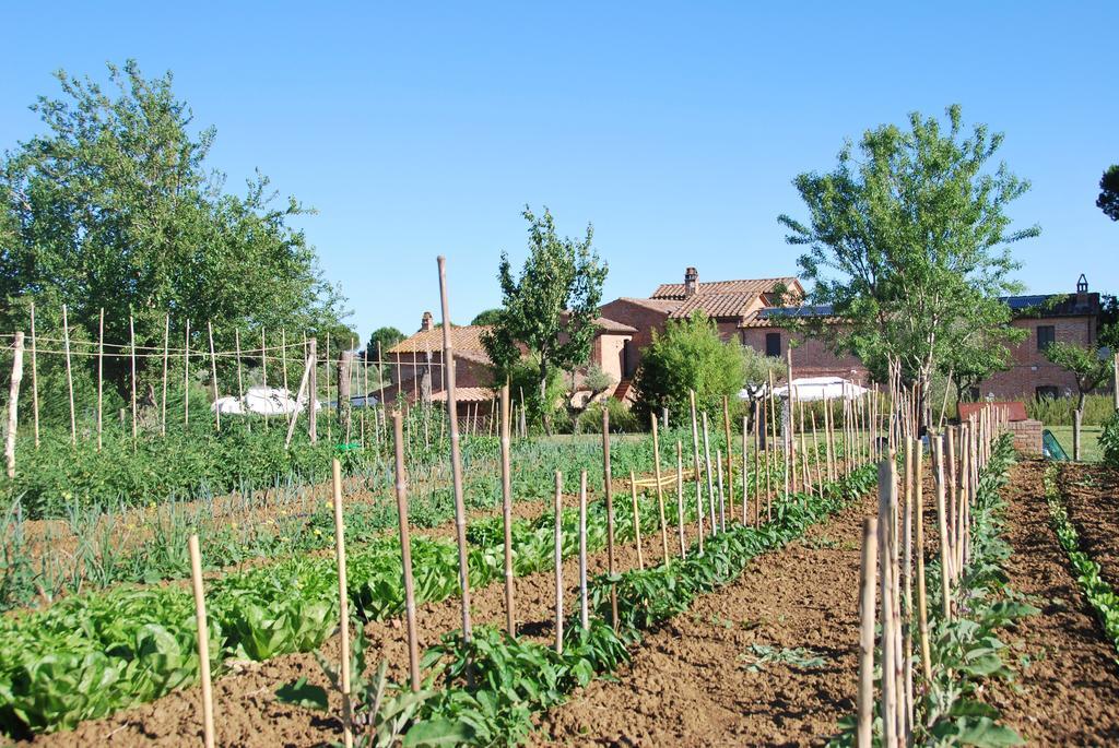 Petrignano Del Lago Agriturismo Le Torri Di Porsenna מראה חיצוני תמונה